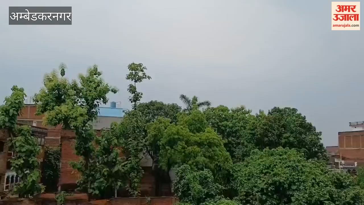 अंबेडकरनगर में सुबह-सुबह हुई बारिश से गर्मी में राहत, किसानों के खिले चेहरे