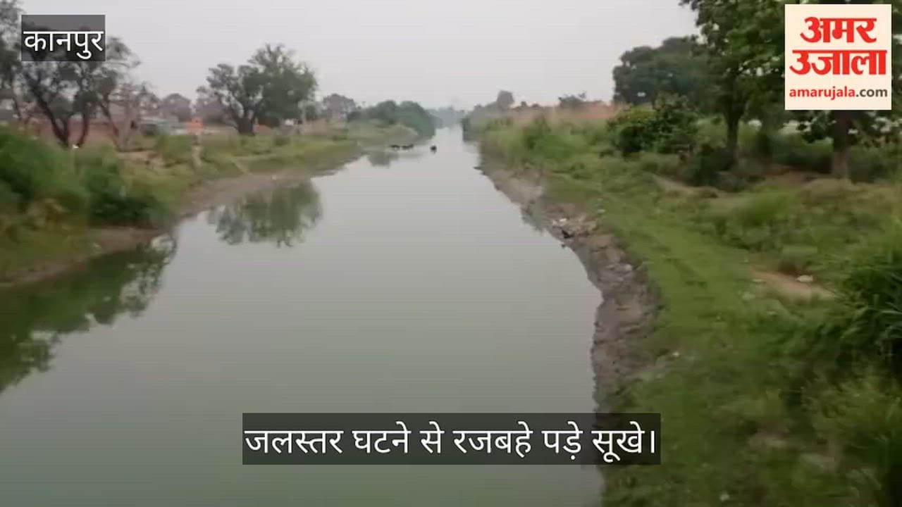 Kanpur Irrigation Crisis Panki Canal water level drops to 1.5 feet hundreds of farmers in distress