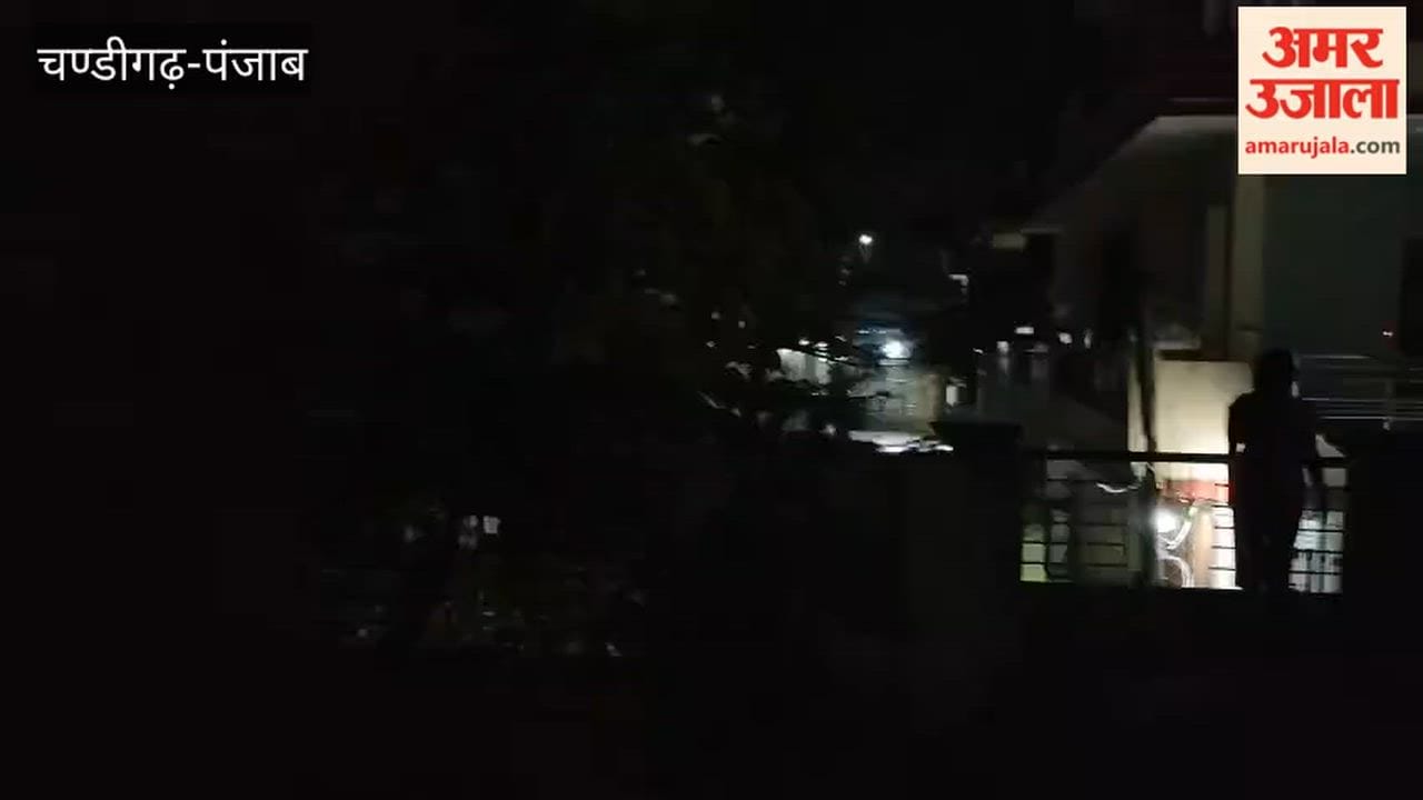 Rain in Firozpur