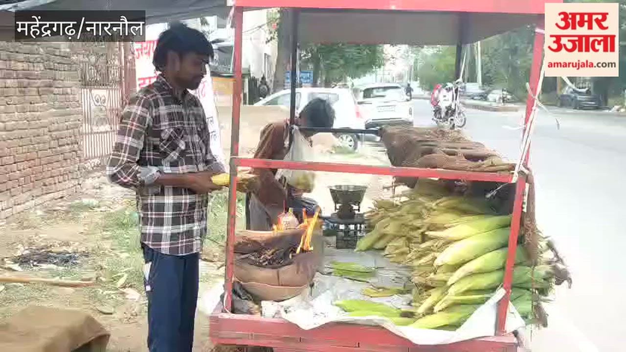 Narnaul: Corn cobs have started arriving in the market with the onset of the rainy season.