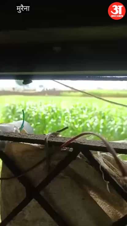 Rapid firing in broad daylight over a land dispute; case registered against five people.
