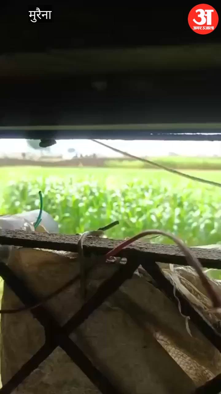 Rapid firing in broad daylight over a land dispute; case registered against five people.