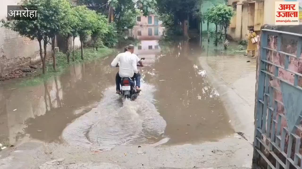 Health department staff forced to remain confined in their homes due to waterlogging.