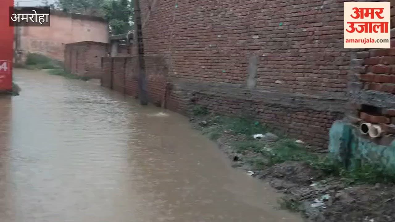 Farmers' faces light up with the heavy downpour.