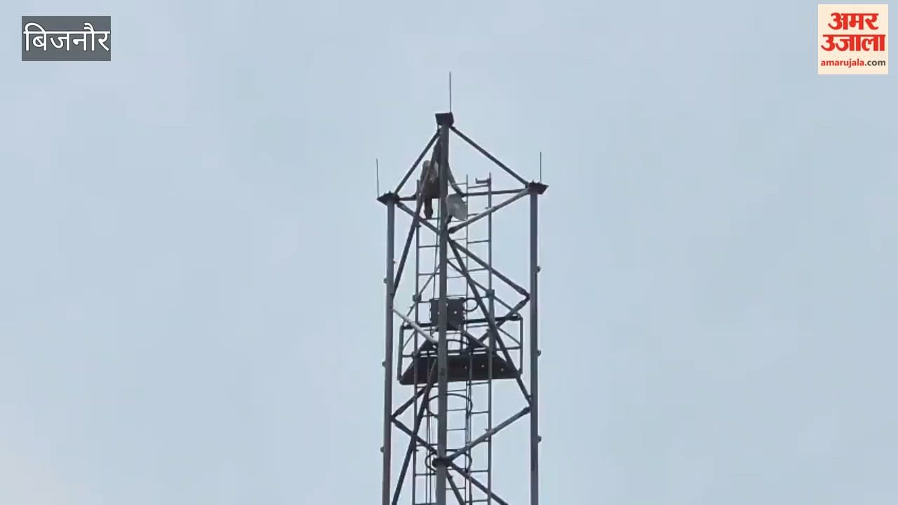 Bijnor: Youth climbs tower, threatens to end his life unless he is married to his girlfriend.