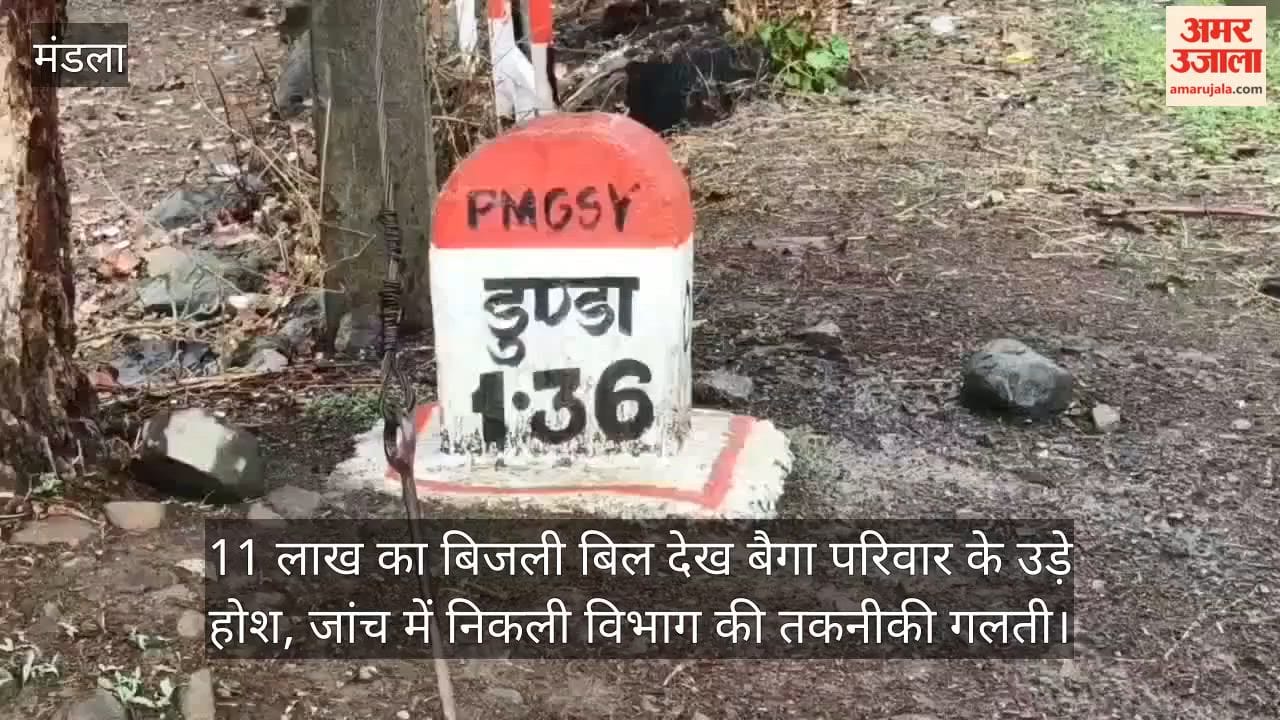 Baiga family was shocked to see an electricity bill of Rs 11 lakh; an investigation revealed a technical