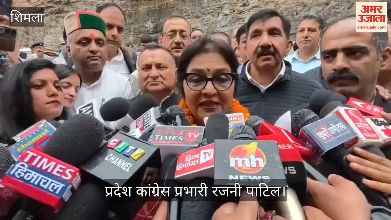 Find out what State Congress in-charge Rajni Patil had to say regarding the cabinet expansion
