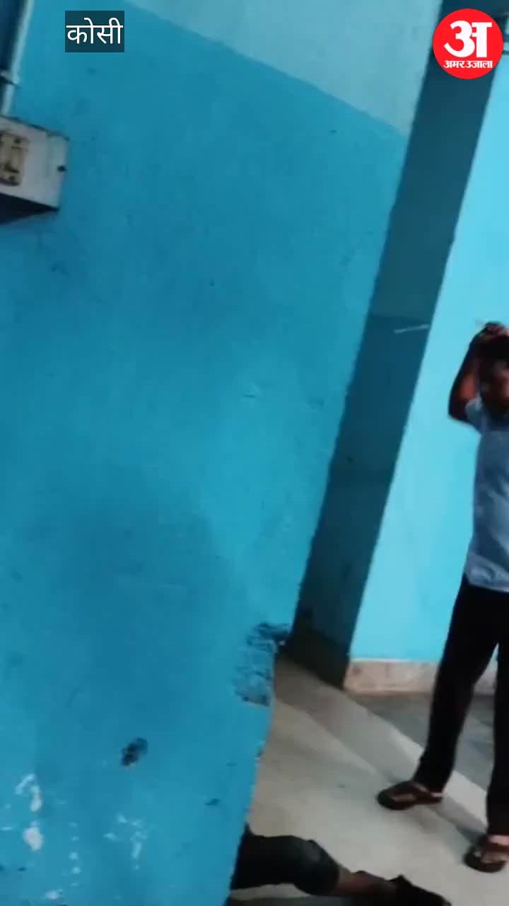 bihar news madhepura singheshwar police beating video viral bihar police investigation