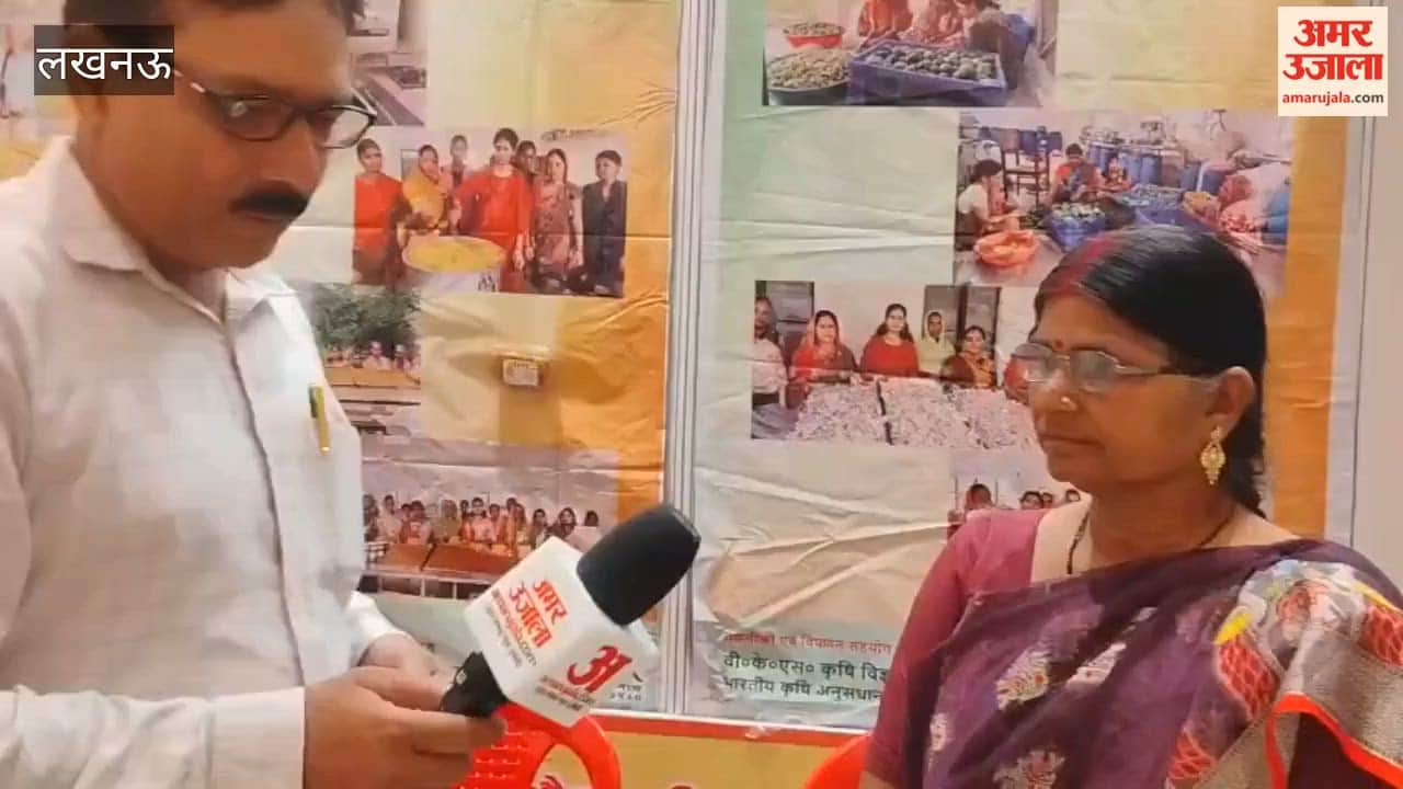 लखनऊ के इंदिरा गांधी प्रतिष्ठान में आम महोत्सव का आयोजन, स्टॉल लगाने वाली महिला उद्यमियों ने साझा की जानकारी