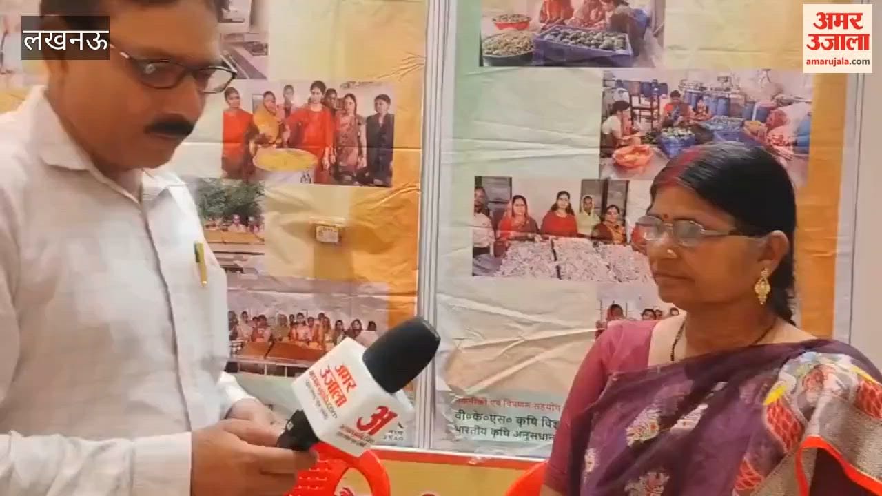 लखनऊ के इंदिरा गांधी प्रतिष्ठान में आम महोत्सव का आयोजन, स्टॉल लगाने वाली महिला उद्यमियों ने साझा की जानकारी