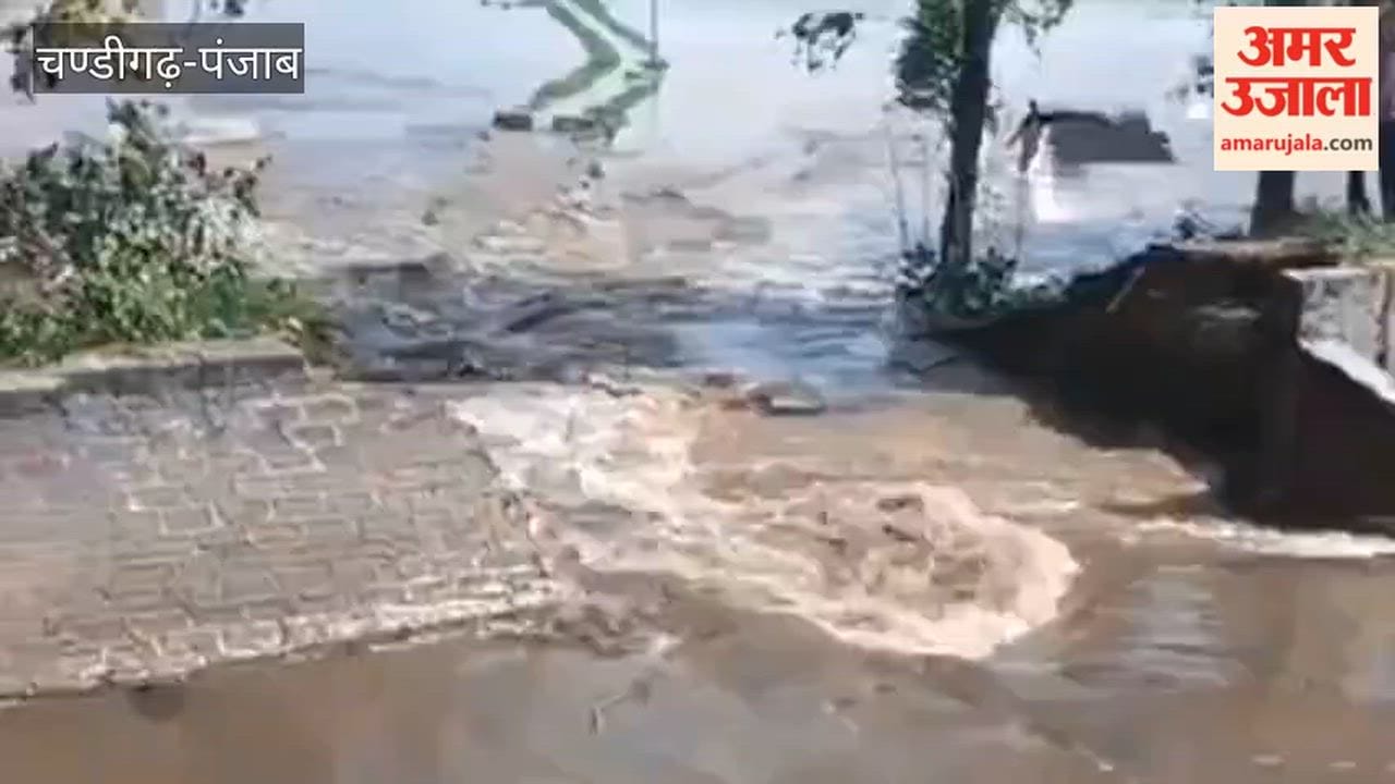 Paddy crops across 500 acres submerged after the breach of the Laxman Canal in Mamdot.