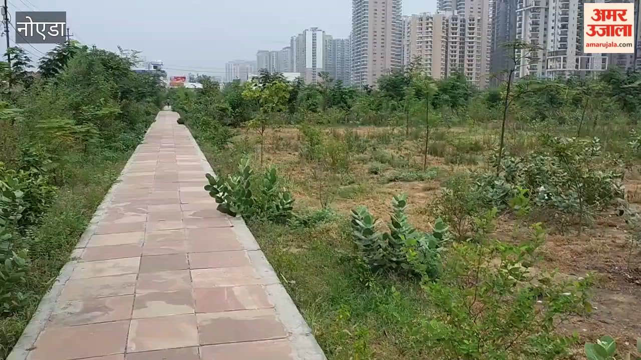 Green belts in Greater Noida are drying up due to lack of water