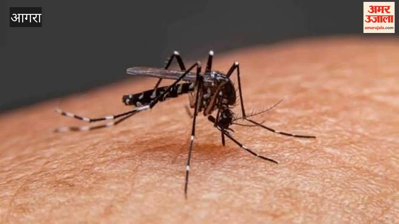Campaign launched in Agra to prevent dengue and malaria
