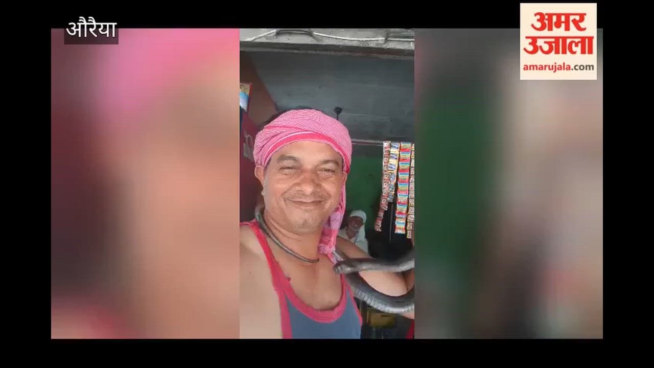 Making a social media reel with a snake proves costly