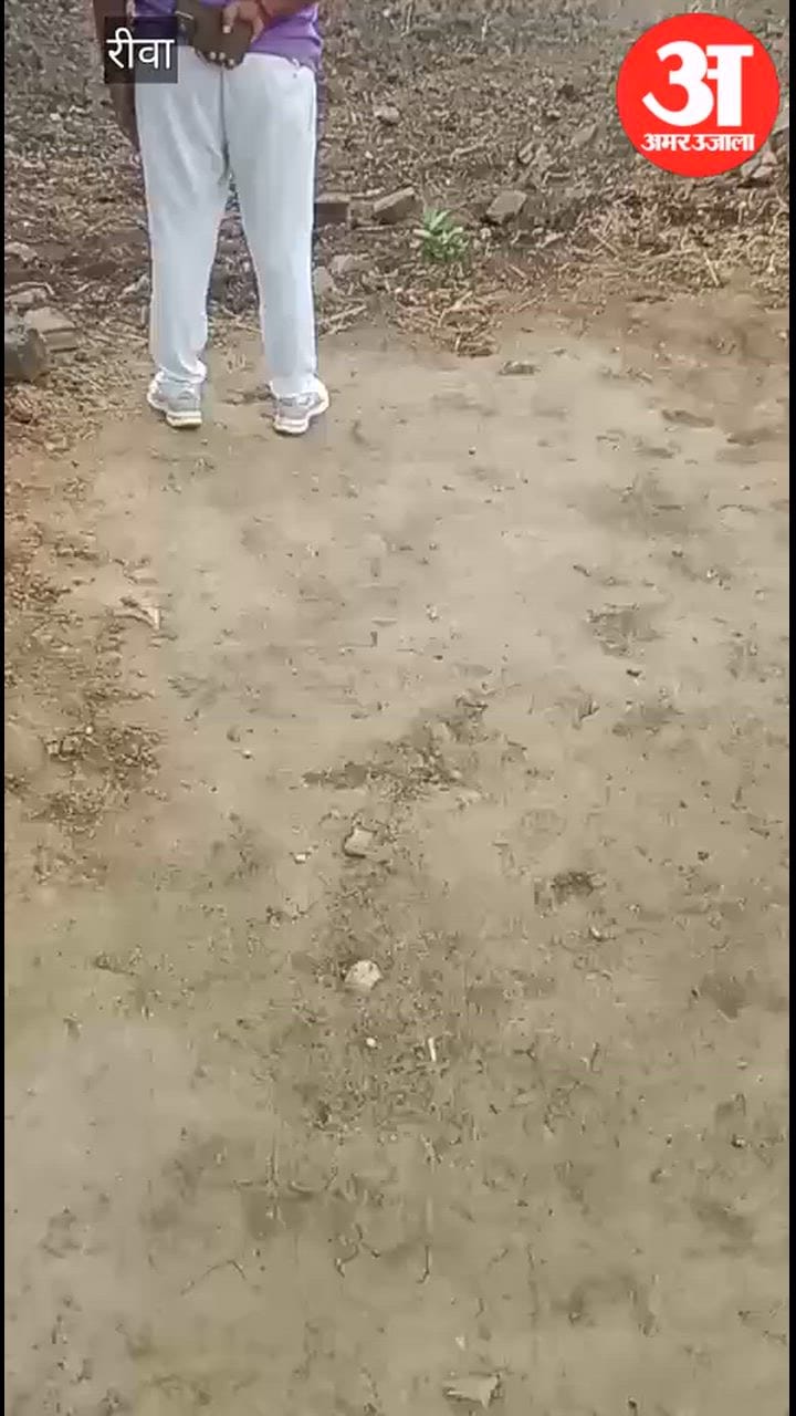 Allegation of attempted run-over by tractor; land dispute turns violent; viral video sparks a stir.