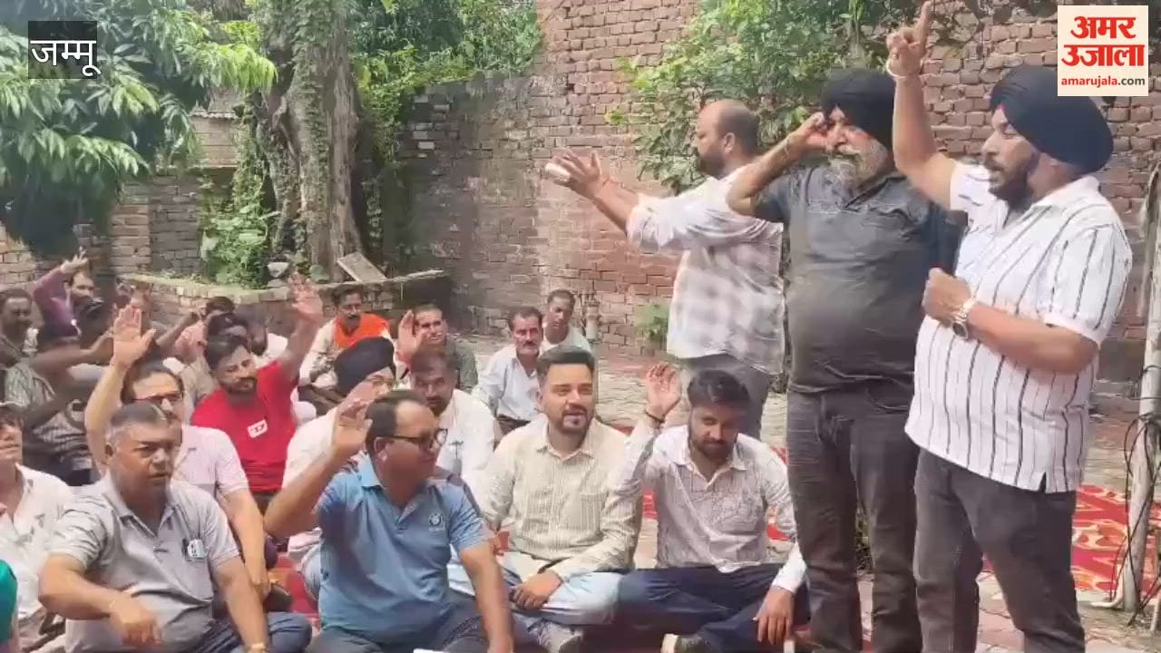 Power employees launch 'stop-work' protest against transfers