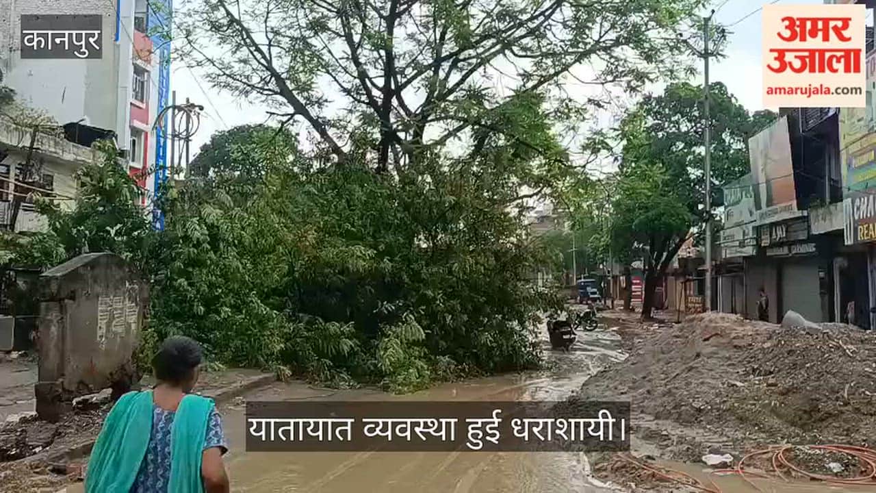 Kanpur A massive tree fell near the Lal Bangla police outpost bringing traffic on the main road to a halt