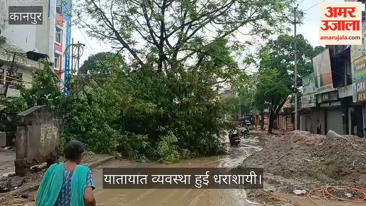 Kanpur A massive tree fell near the Lal Bangla police outpost bringing traffic on the main road to a halt