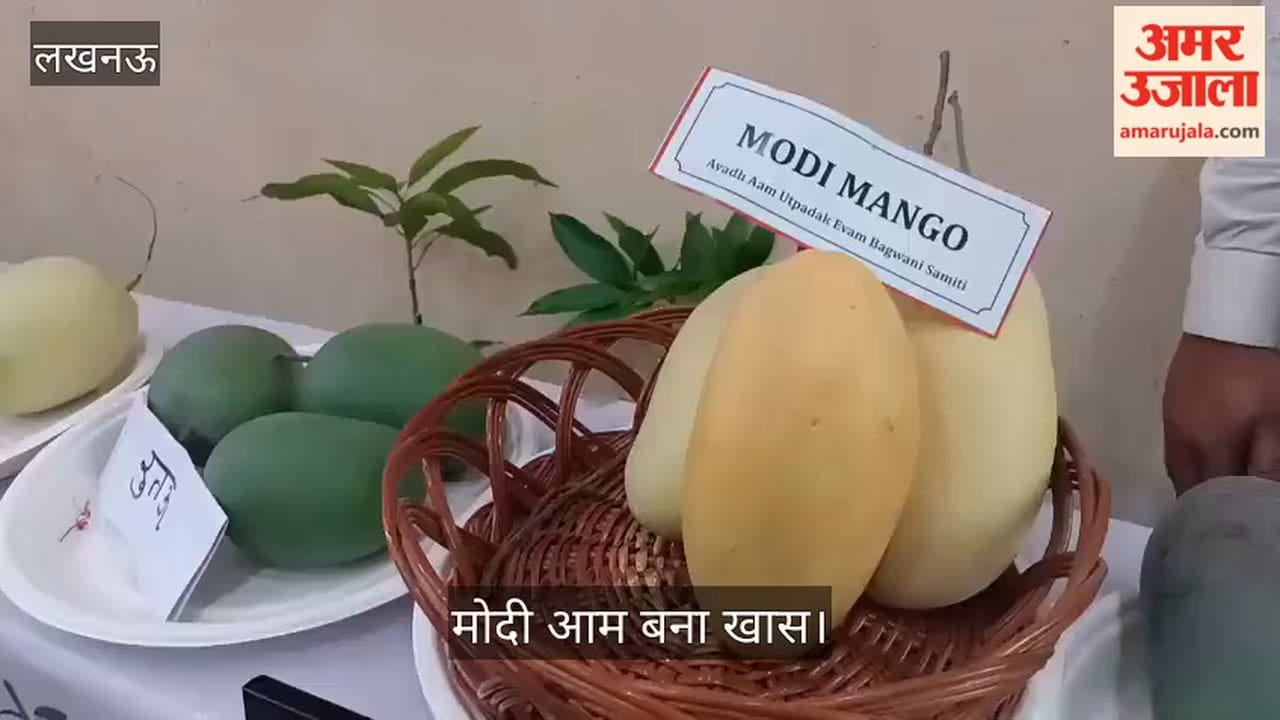 Video: इंदिरा गांधी प्रतिष्ठान में 'उत्तर प्रदेश महोत्सव-2026' का आगाज, मोदी आम बना खास