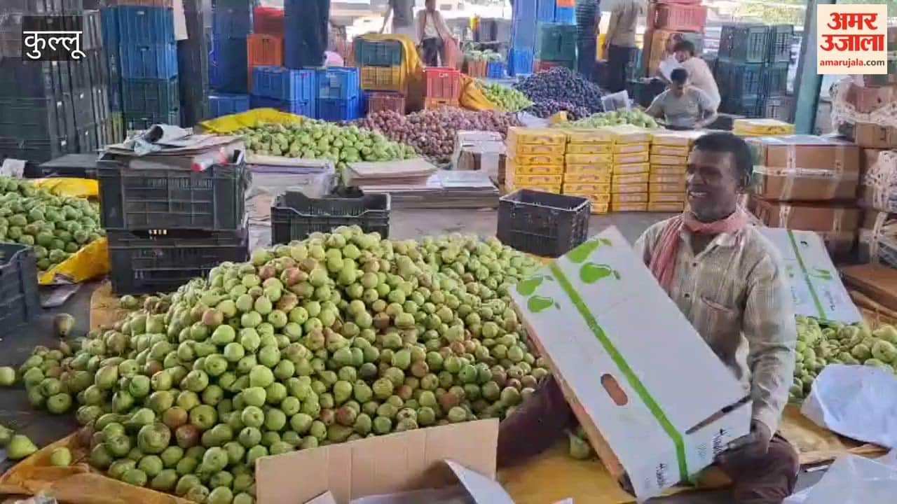 bhuntar fruit vegetable market good prices kullu farmers 2026