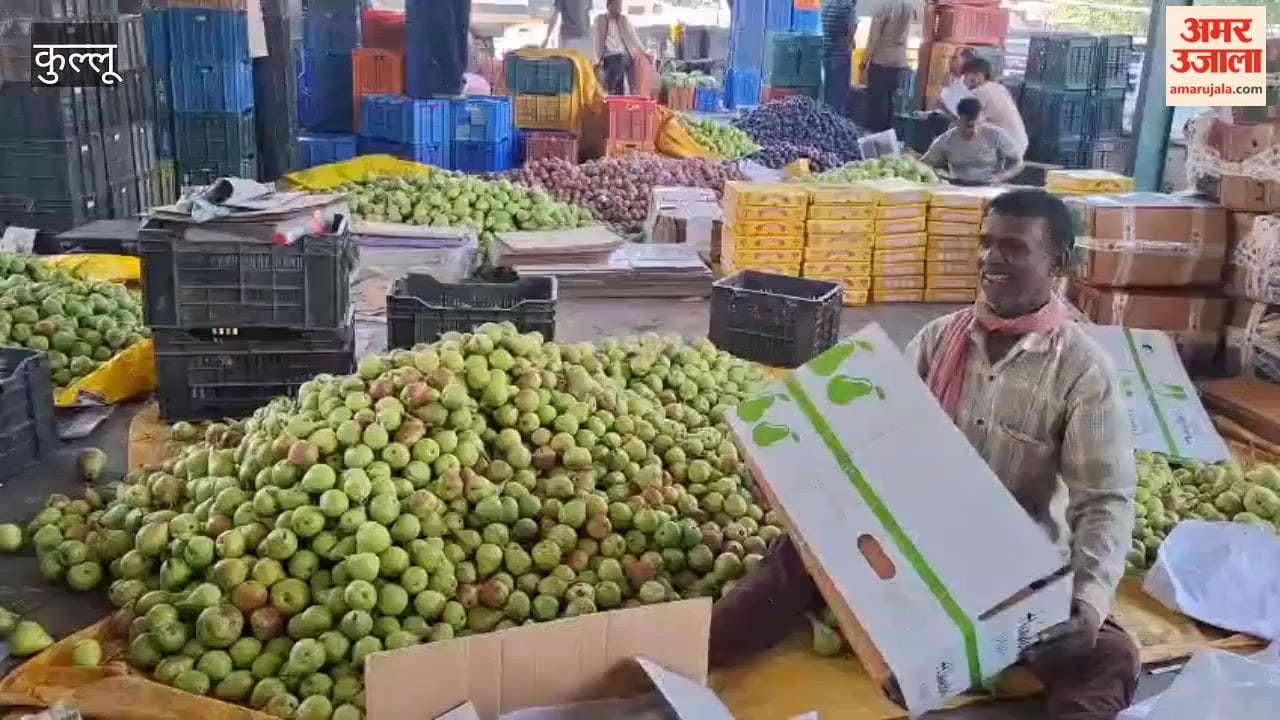 bhuntar fruit vegetable market good prices kullu farmers 2026