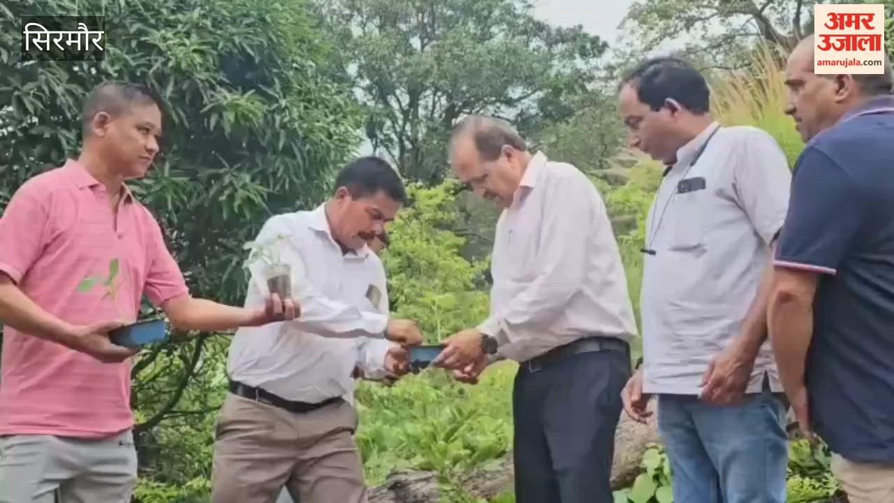 nahan ek ped maa ke naam plantation drive ward 12 2026