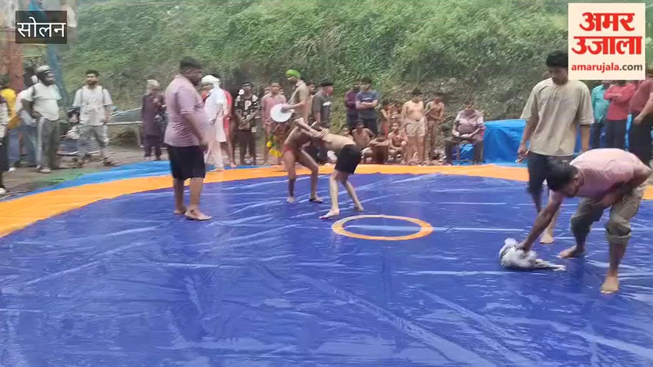 kasauli dangal child wrestling punjab himachal match