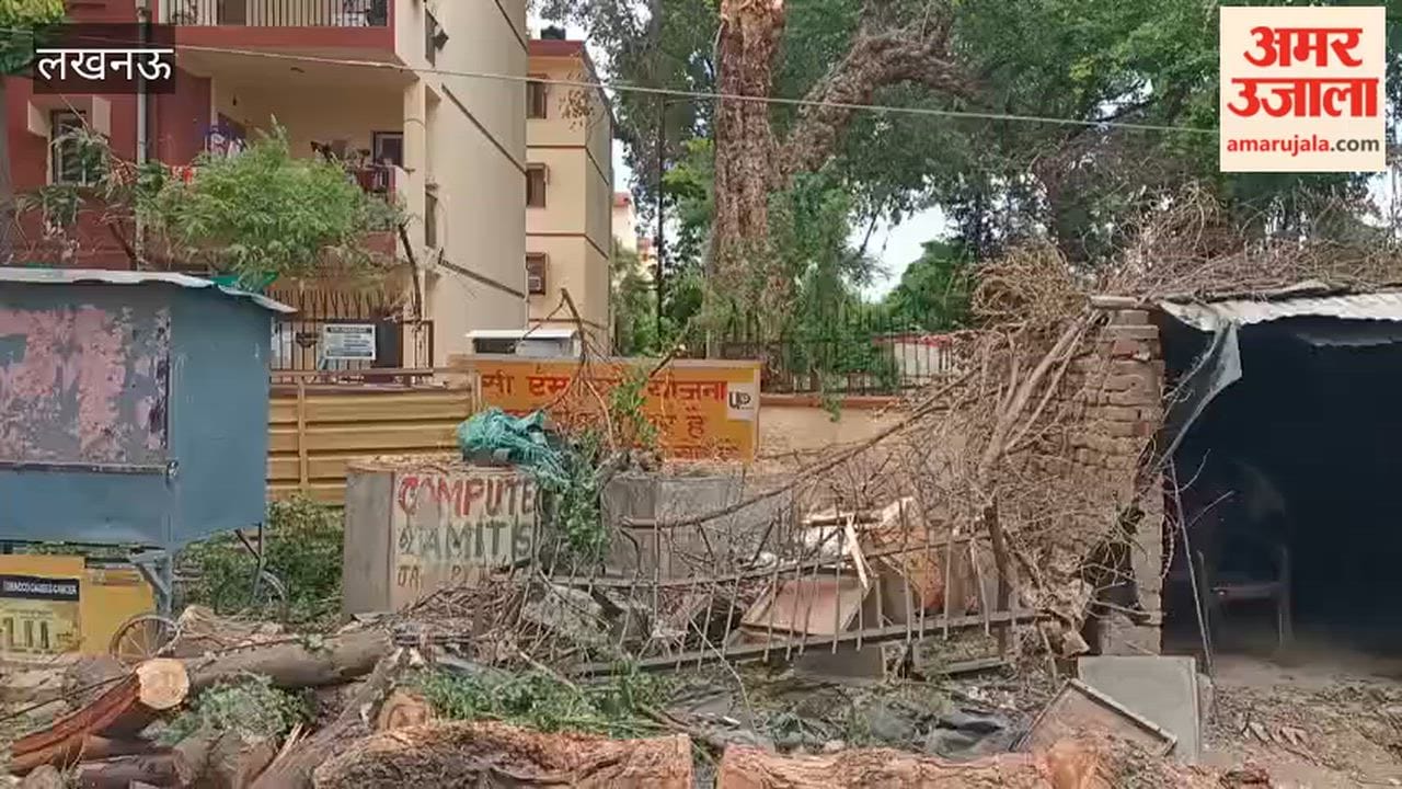 लखनऊ में विशालकाय पेड़ बिजली के तारों पर गिरा, दो पोल टूटे