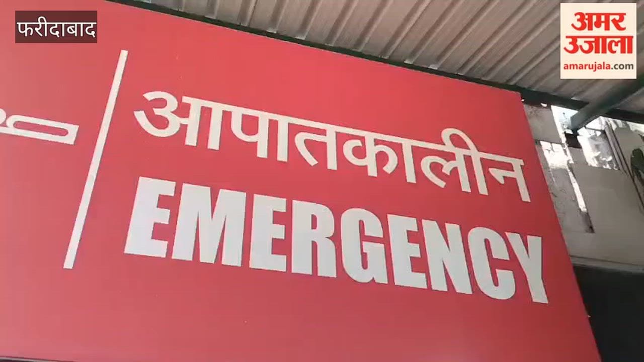 40-year-old woman bitten by a snake