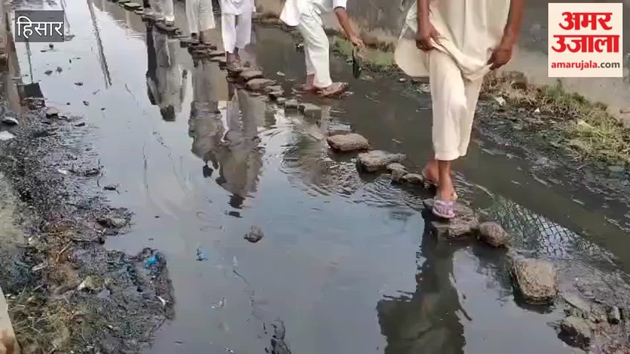 Waterlogging problem persists in Hansi's Sisay village; pleas to the Sarpanch and SDM prove futile.