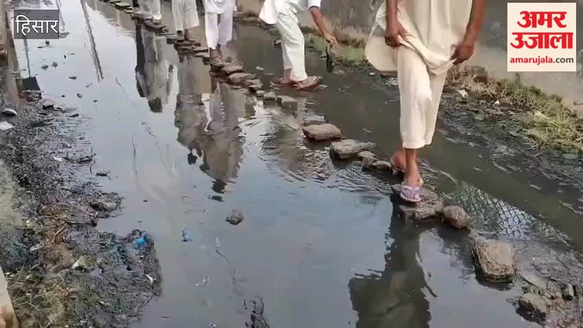 हांसी के सिसाय गांव में जलभराव की समस्या बरकरार, सरपंच और SDM से गुहार बेअसर