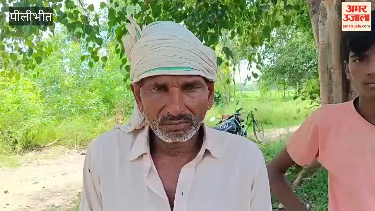 Milch buffalo dies of electrocution in Pilibhit