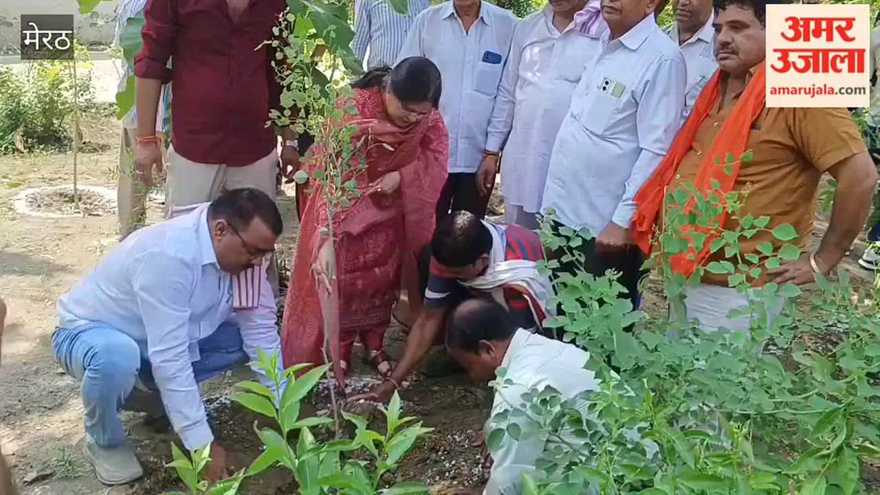 Nagar Panchayat launches tree plantation drive under Van Mahotsav; 1,200 saplings planted.