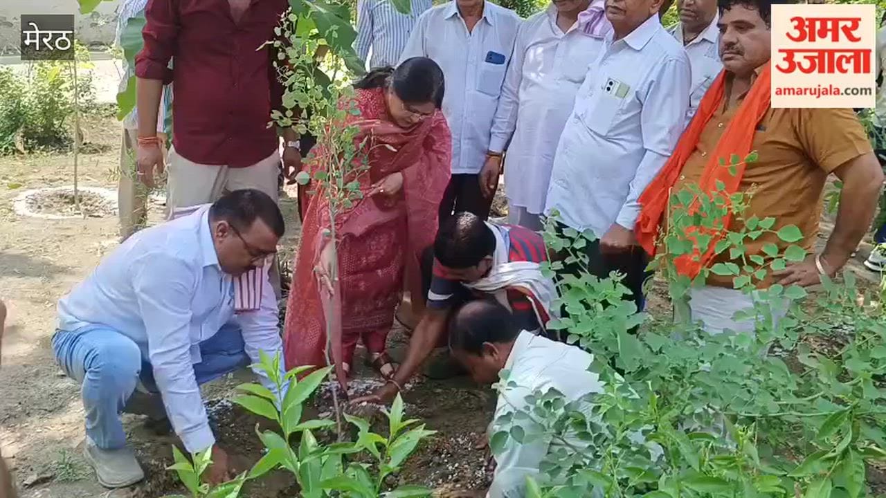 Nagar Panchayat launches tree plantation drive under Van Mahotsav; 1,200 saplings planted.