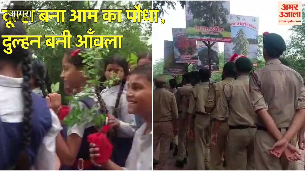 Mango Sapling Becomes the Groom, Amla Sapling the Bride