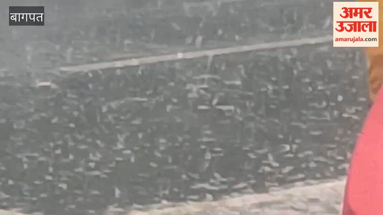 Baghpat: Farmers delighted by heavy rainfall; relief from sultry heat.