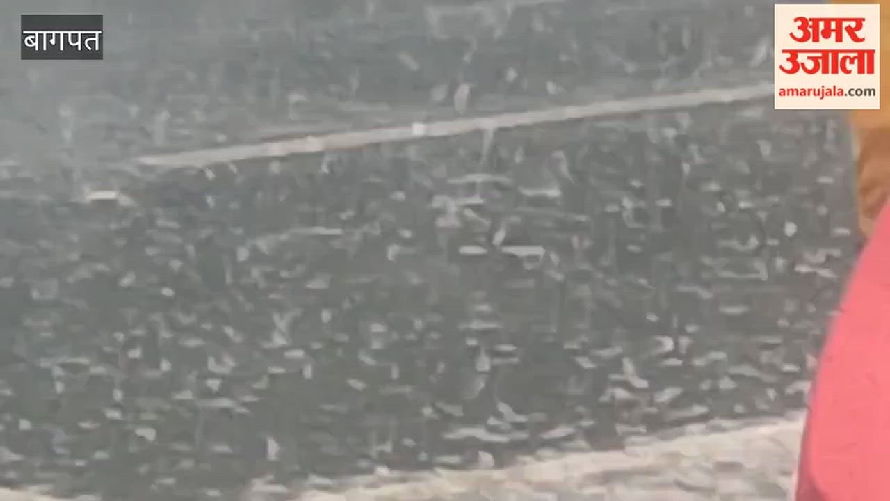 Baghpat: Farmers delighted by heavy rainfall; relief from sultry heat.