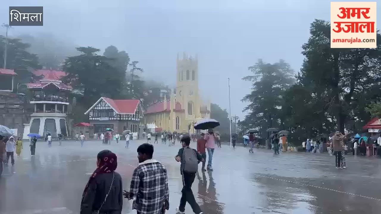 shimla rain update weather turns pleasant fog covers hills july 2026