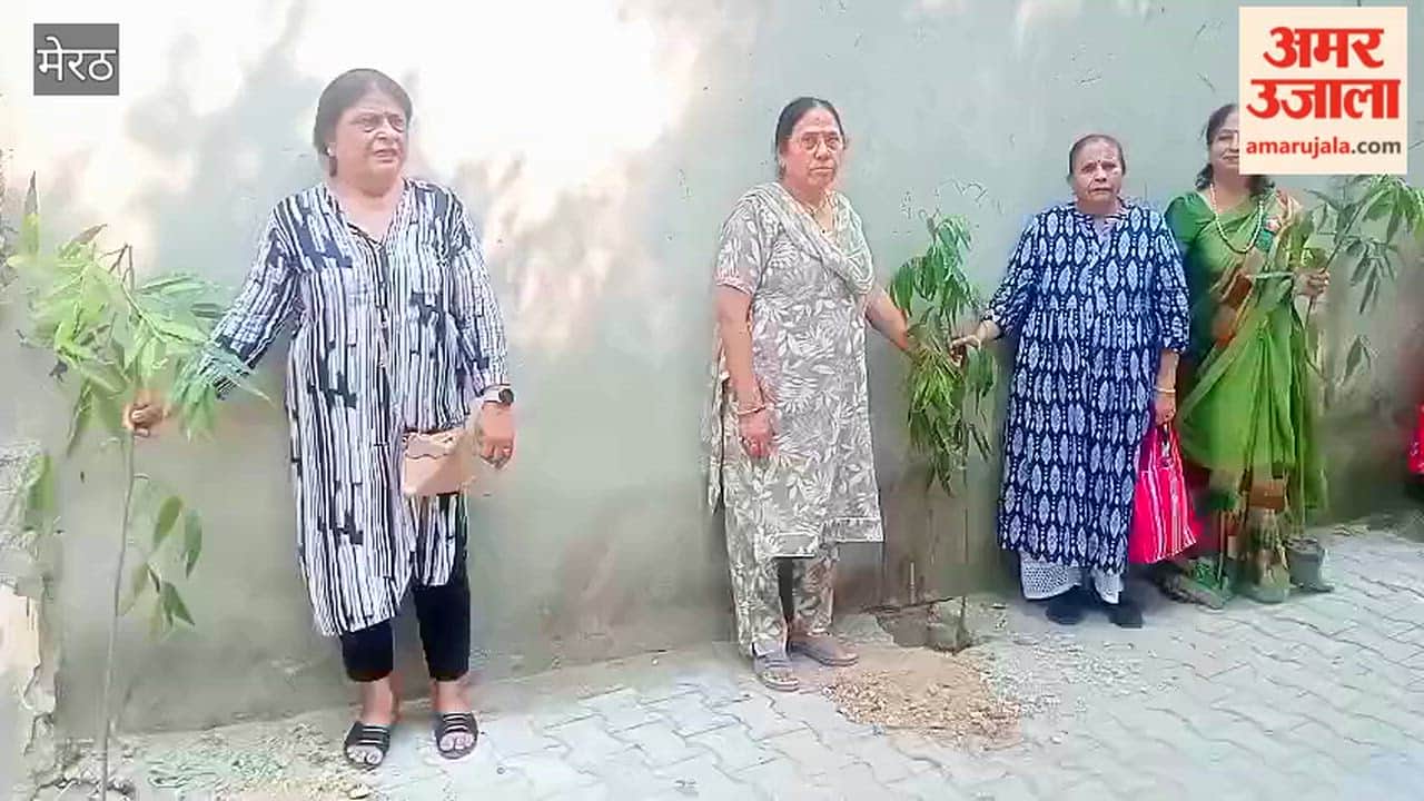 Meerut: Bharat Vikas Parishad conducted a tree plantation drive in Saket.