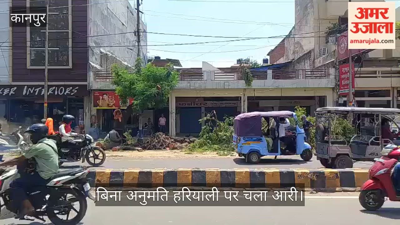 Kanpur Lush green tree chopped down in broad daylight in Govind Nagar questions now arise on whose orders