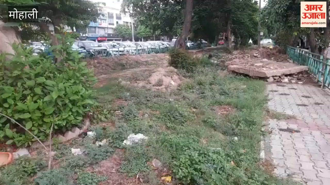 Sanitation monitoring in Mohali will now be conducted on a ward-wise basis
