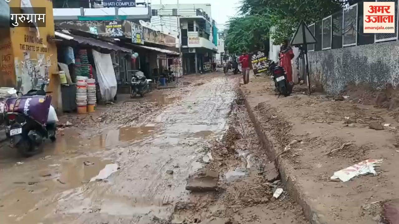 Issues regarding roads streetlights and waterlogging in Ganga Vihar Sahib Kunj