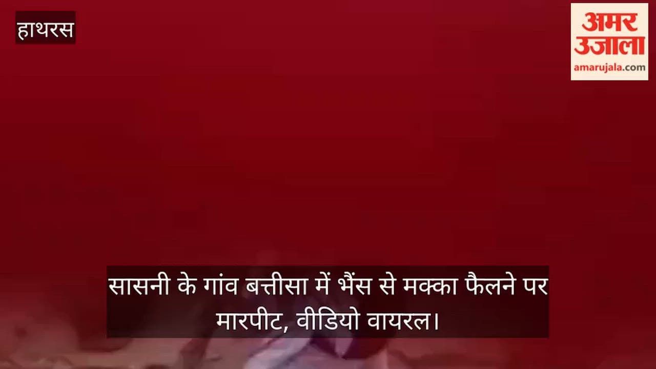 सासनी के गांव बत्तीसा में भैंस से मक्का फैलने पर मारपीट, वीडियो वायरल