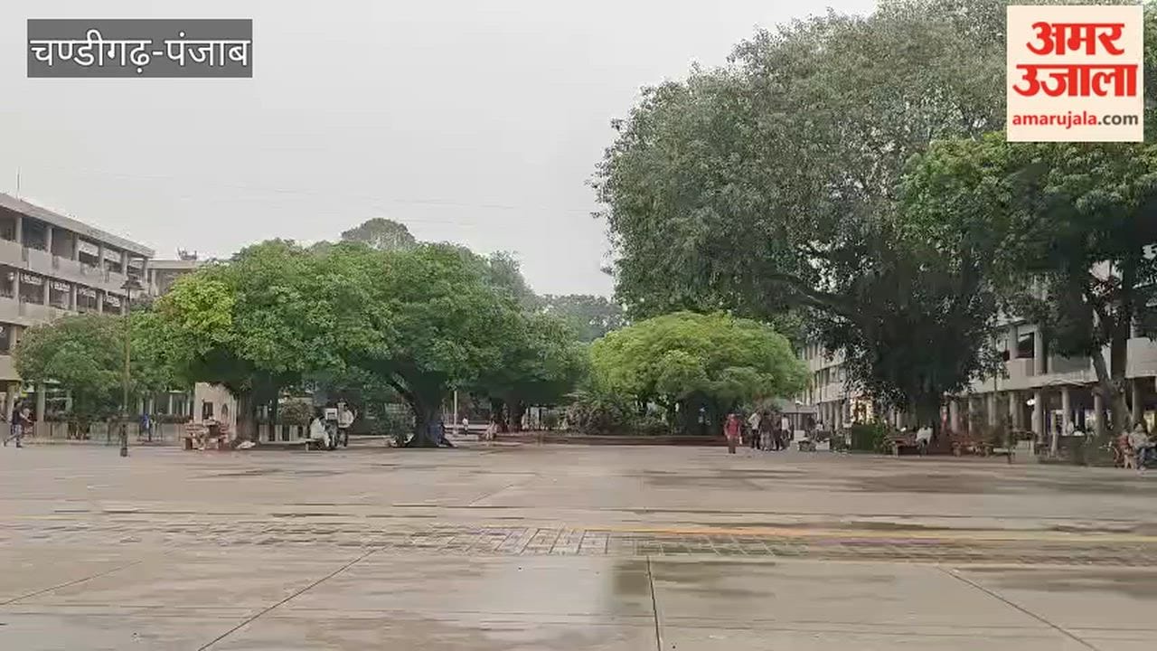 No relief from humidity in Chandigarh despite light drizzle.