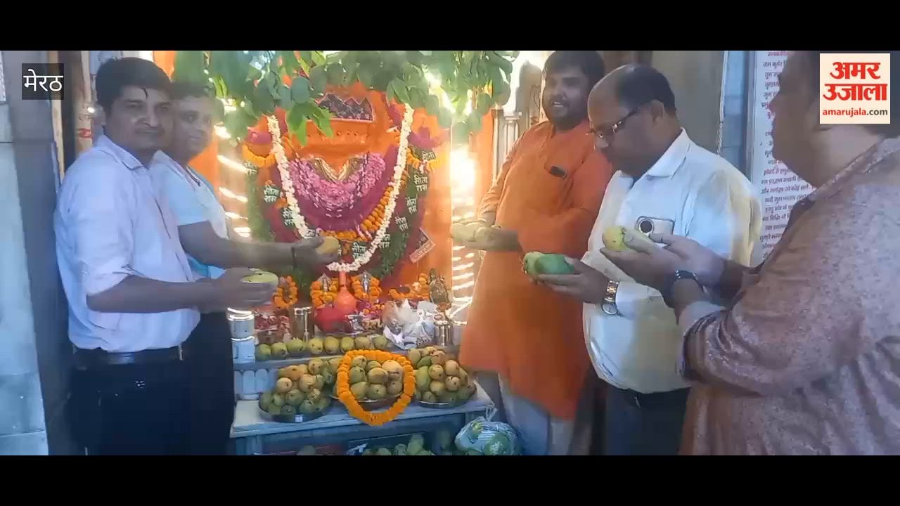 Meerut: Mango Festival Celebrated at Panchmukhi Hanuman Temple, Devotees Offered Mango Prasad