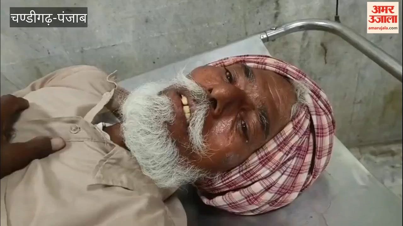 Menace of stray dogs in Kapure village; laborer attacked and critically injured.