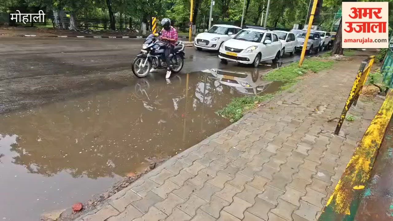 Municipal Corporation's negligence exposed at Mohali's Phase-4 PTL Chowk following rain; accumulation of debris on the road causes increased inconvenience