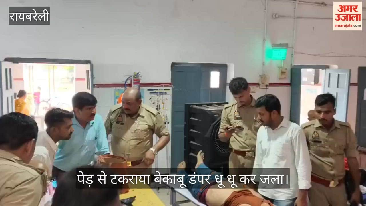 पेड़ से टकराया बेकाबू डंपर धू धू कर जला, चालक घायल