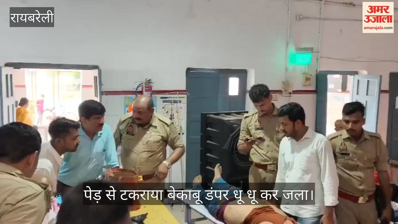 पेड़ से टकराया बेकाबू डंपर धू धू कर जला, चालक घायल