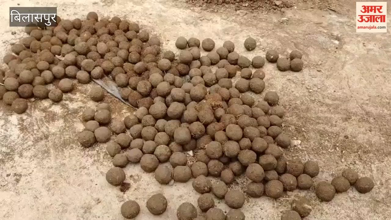 bilaspur seed ball technique plantation drive bandla dhar